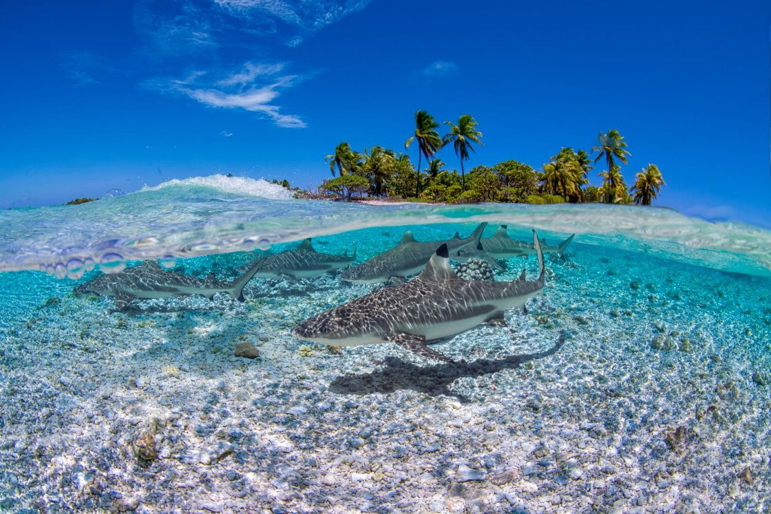 Französisch-Polynesien