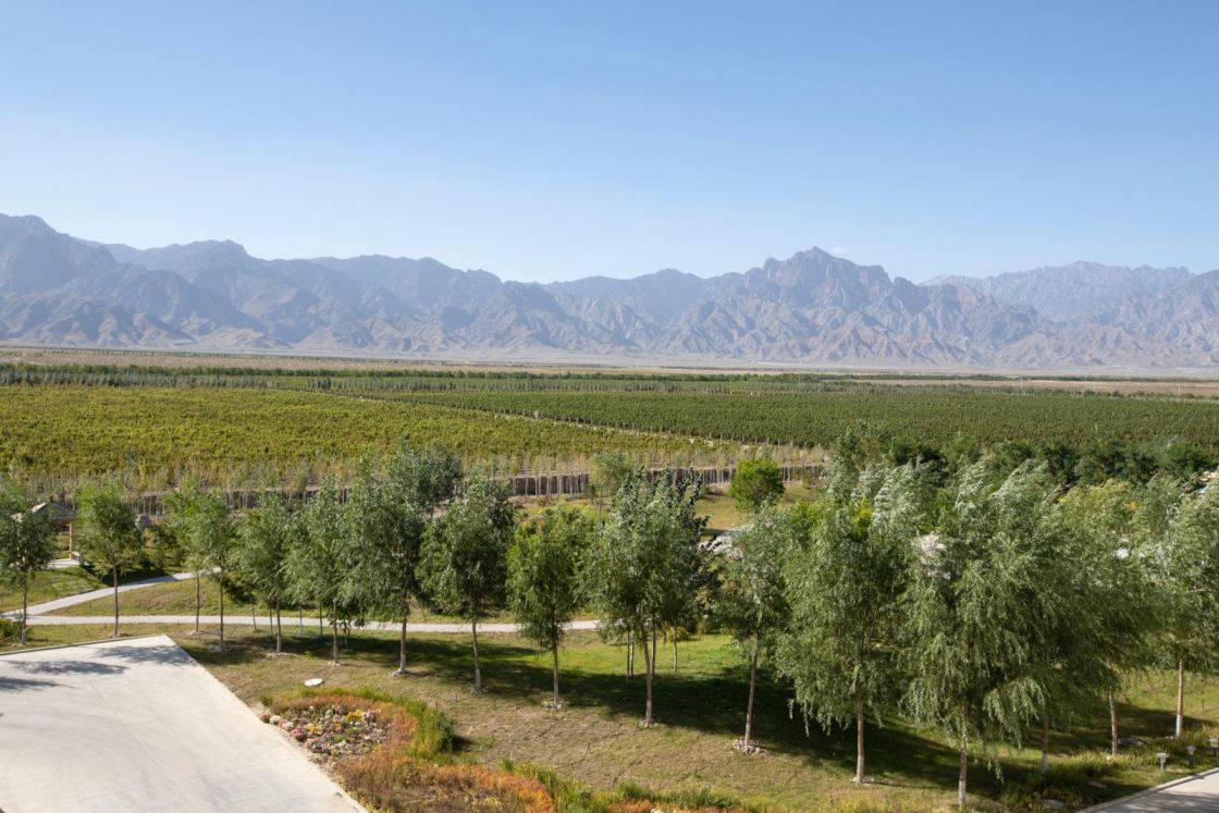 Weinbauregion Ningxia