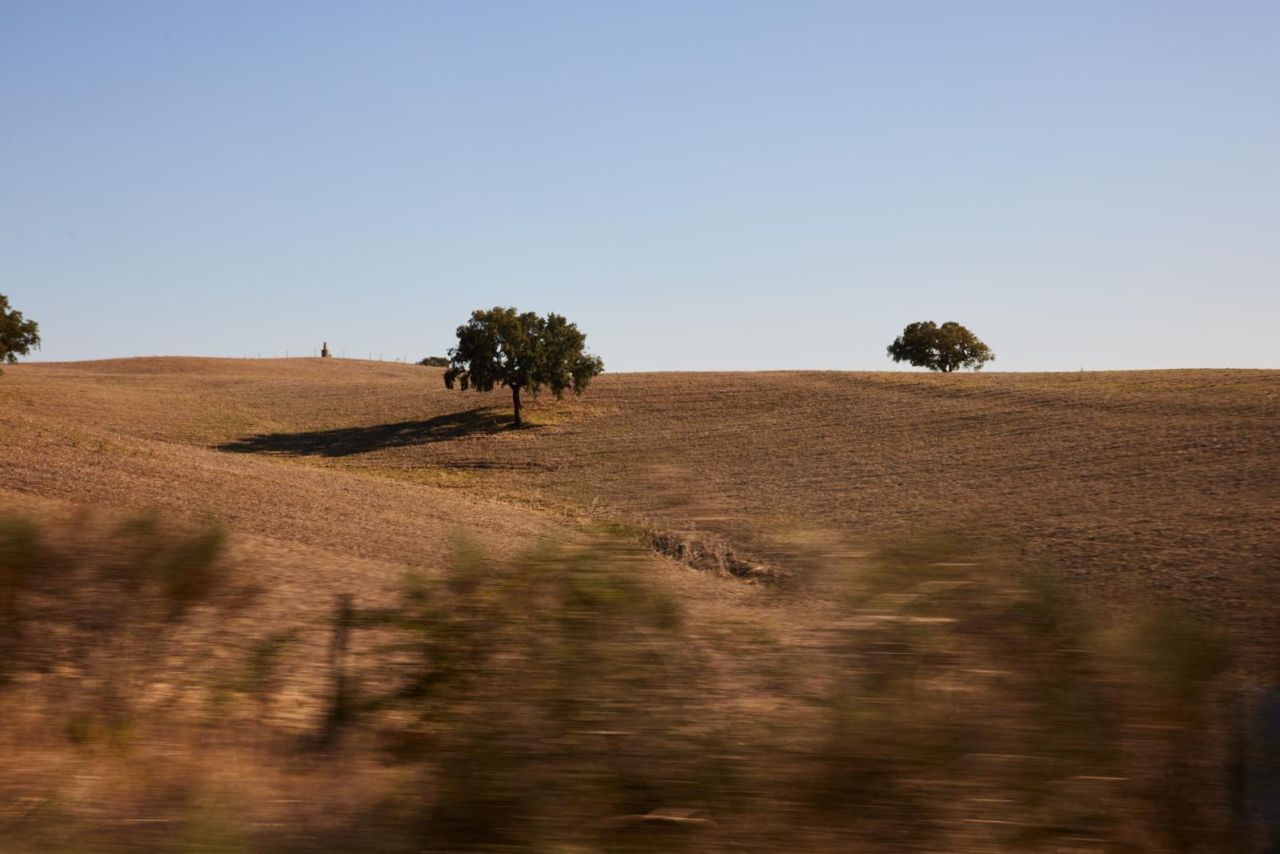 Alentejo