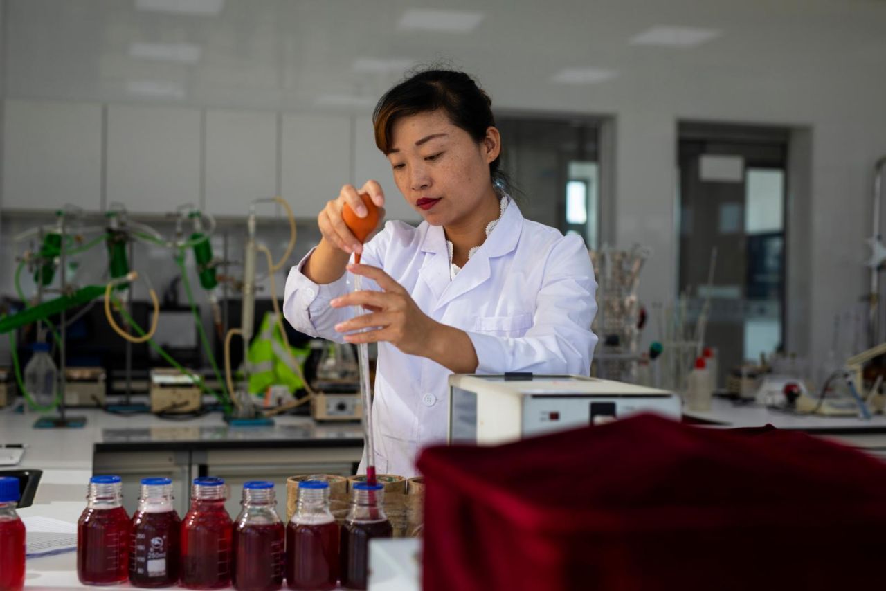 Pernod Ricard Winery