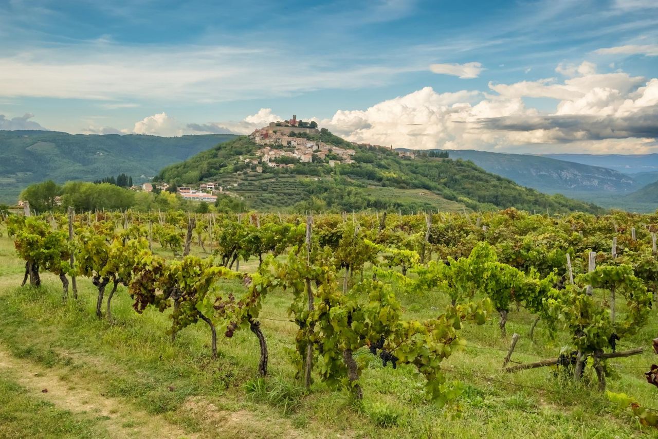 Motovun