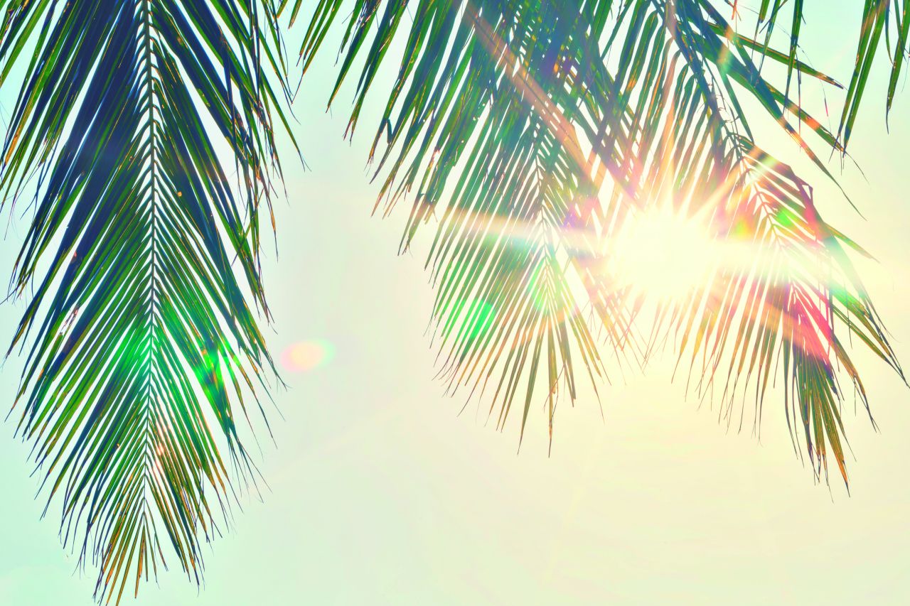 iStock-504476898