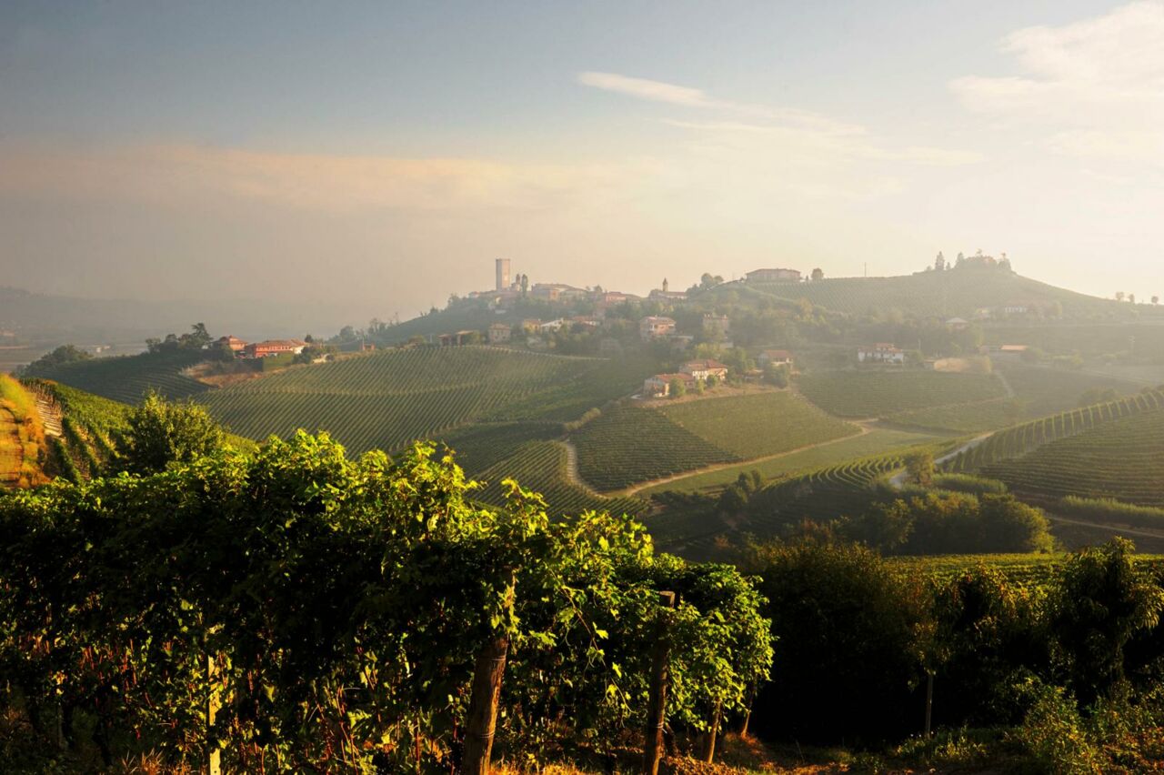 Weingut Gaja Piemont