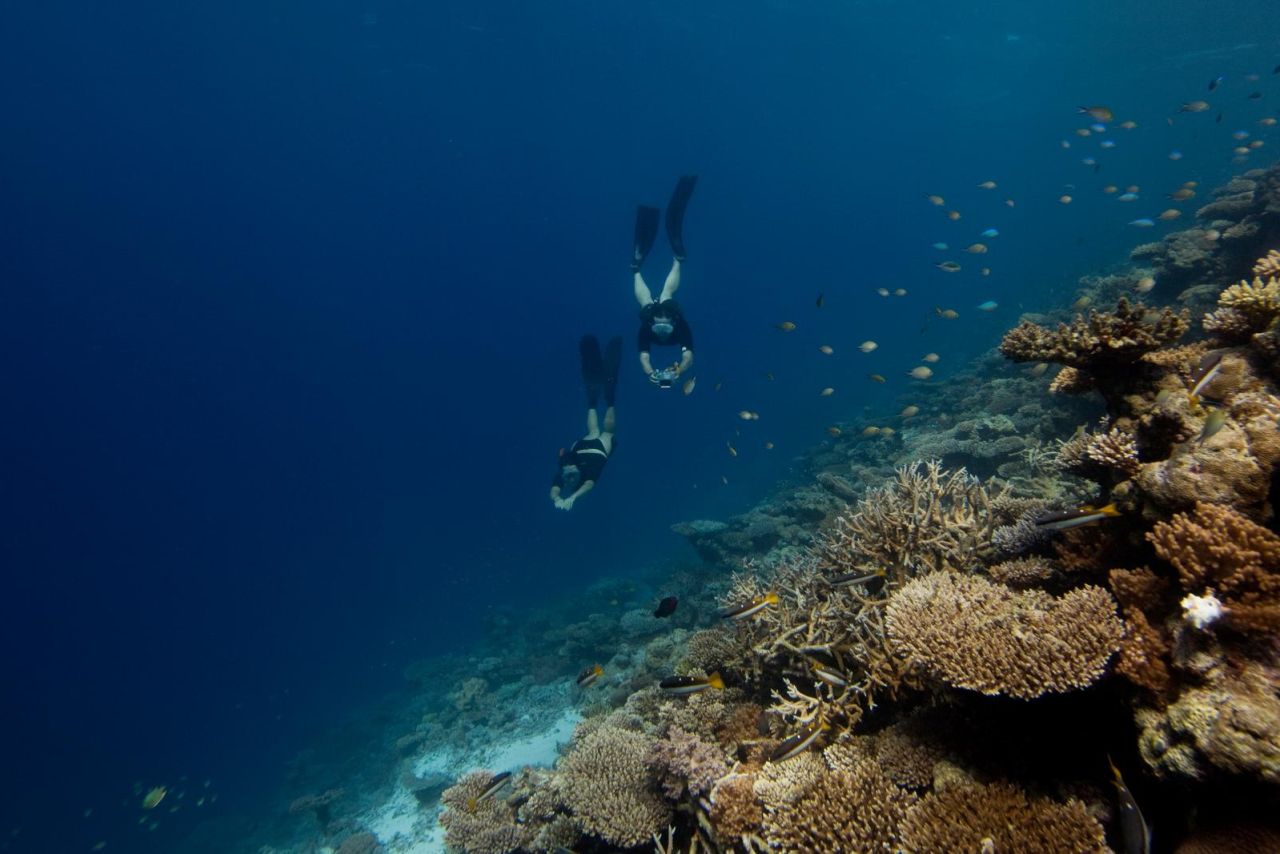 Soneva Fushi Freitauchen
