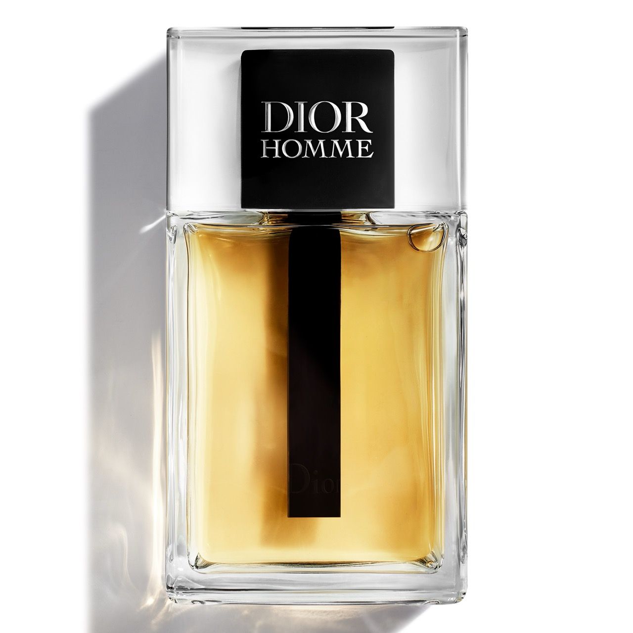 Dior Homme