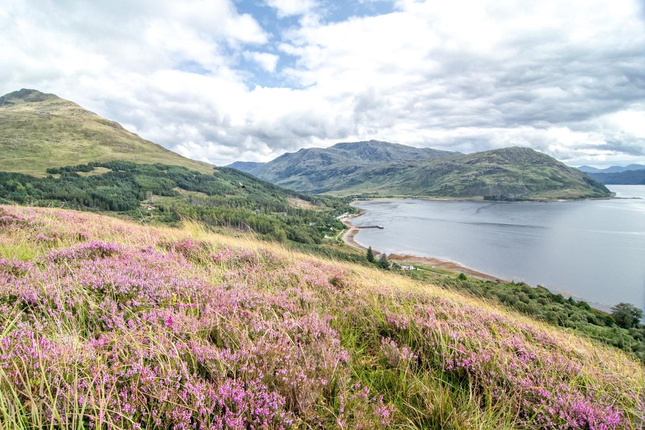 Schottland