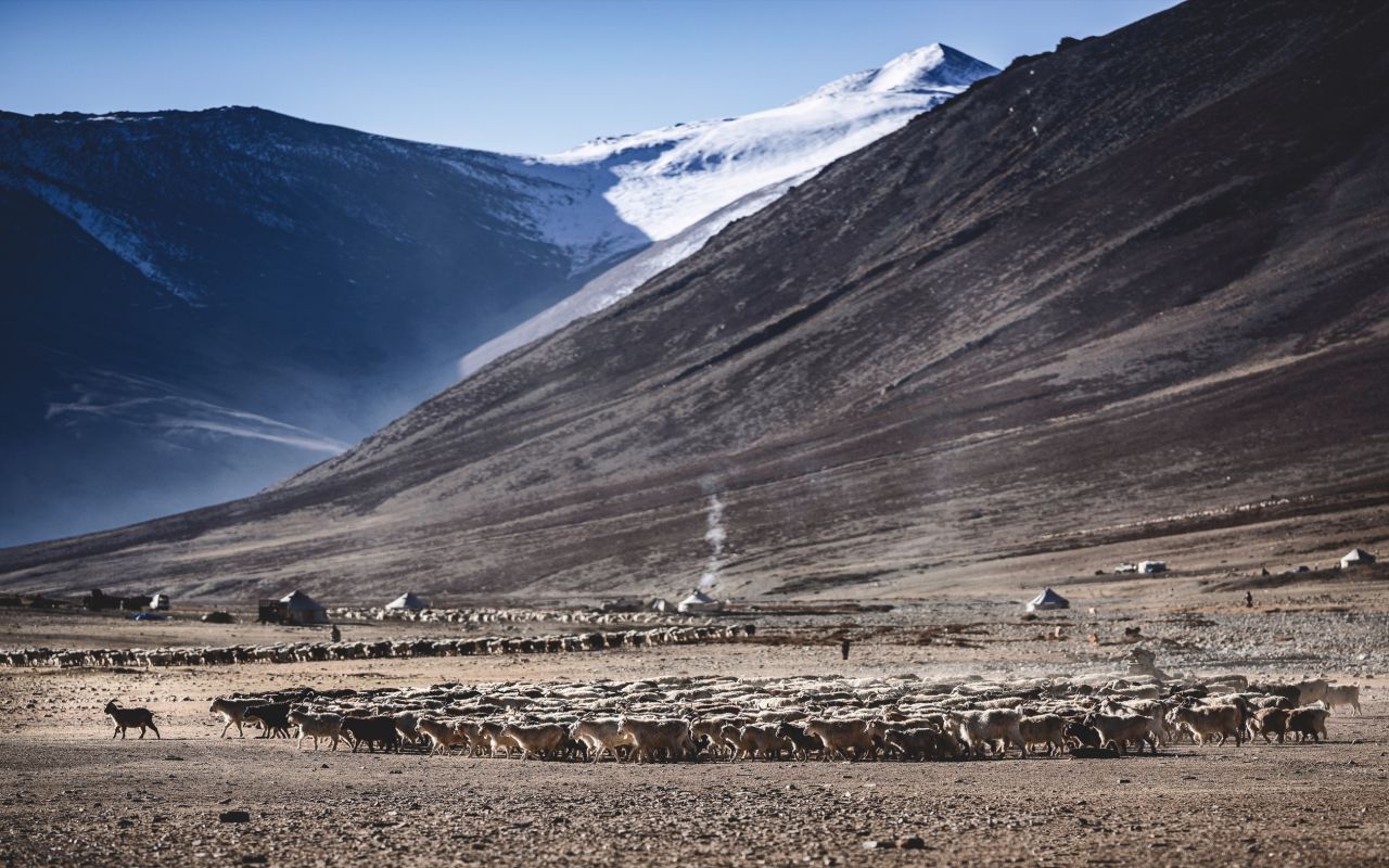 Ladakh