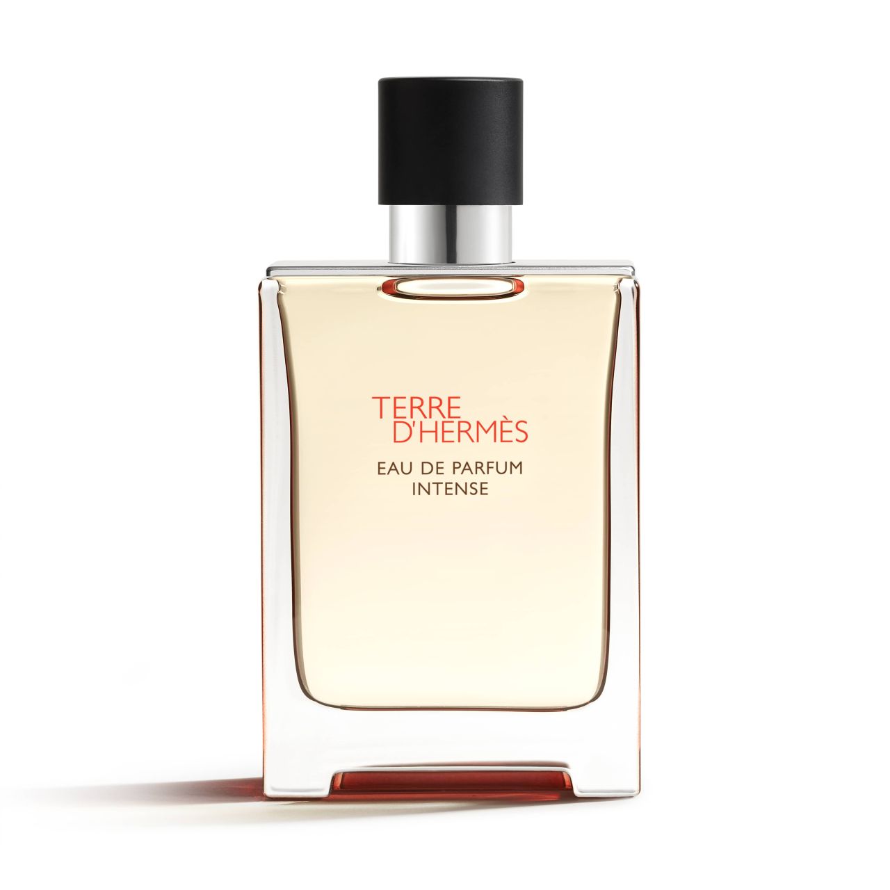Terre d'Hermès Eau de Parfum Intense
