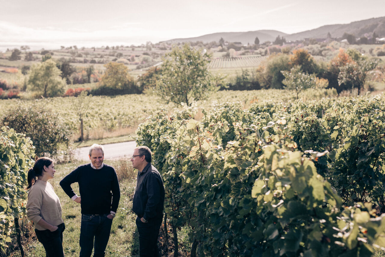 Christmann & Kauffmann