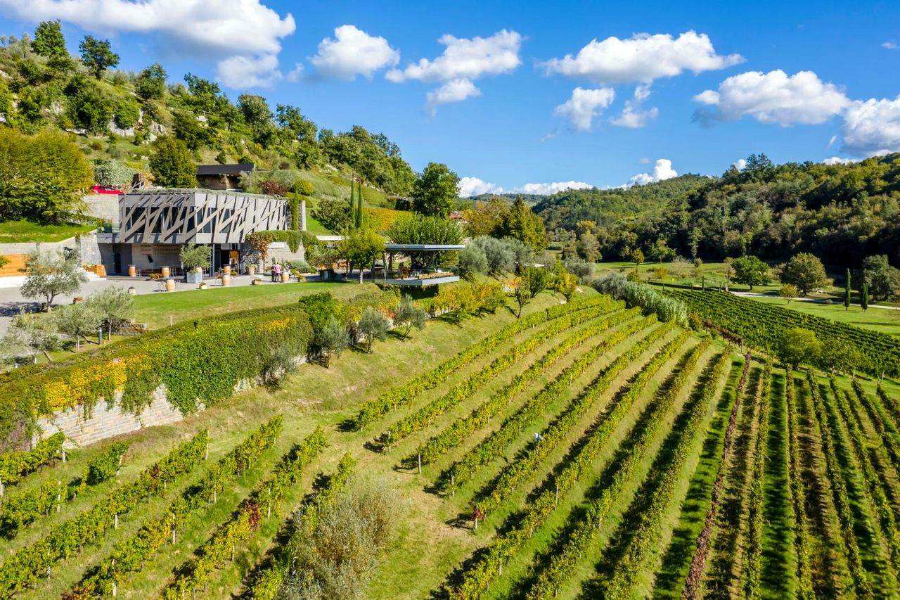 Weingut Kozlovic