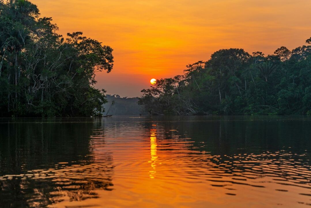 Amazonas