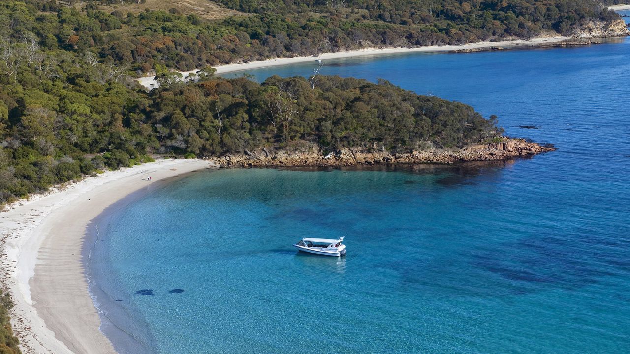 Saffire-Freycinet
