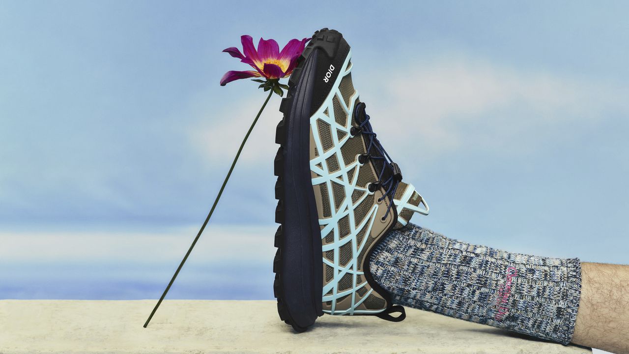 Dior B31 Sneakers