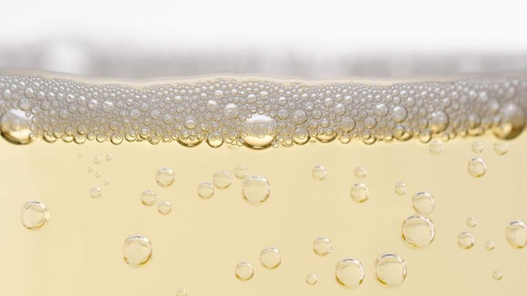 Sekt Sekt