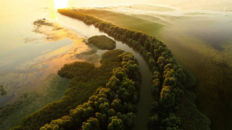 Danube Delta Danube Delta