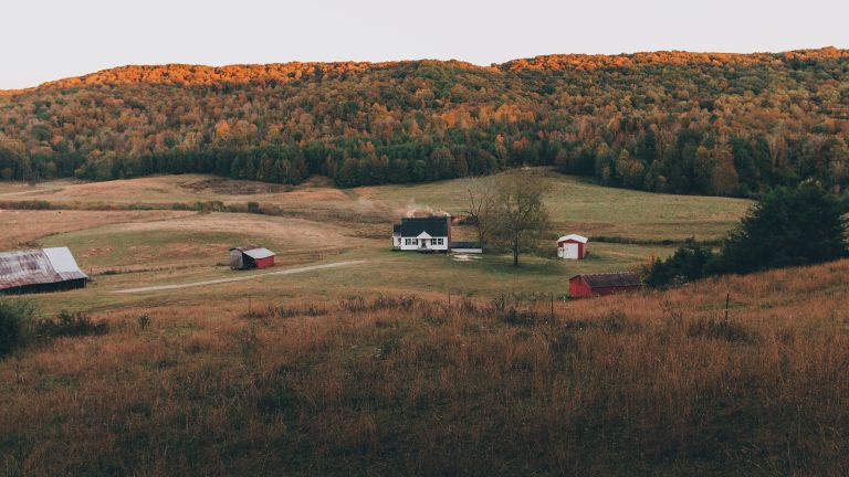 Kommt niemals aus der Mode: Whisky ist ein Klassiker in den Bars dieser Welt. Unser Whisky-Experte empfiehlt Ihnen fünf echte Schätze aus den USA. Landschaft