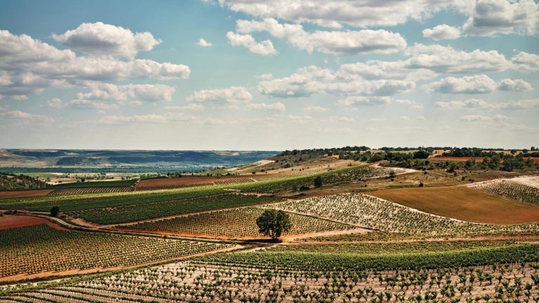 Ribera del Duero Ribera del Duero
